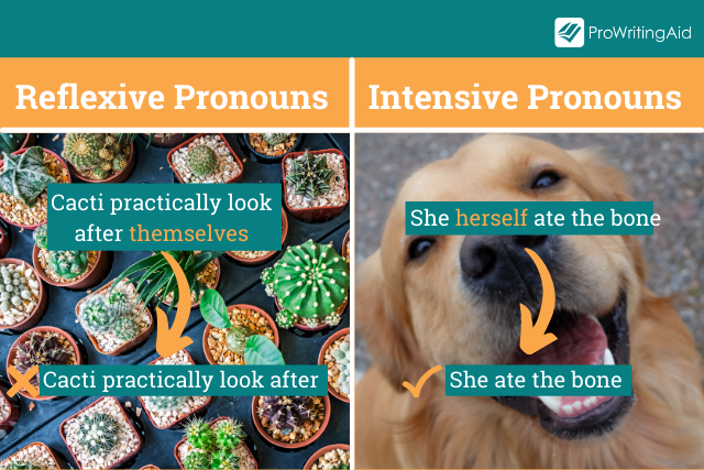Reflexive Pronouns versus Intensive Pronouns