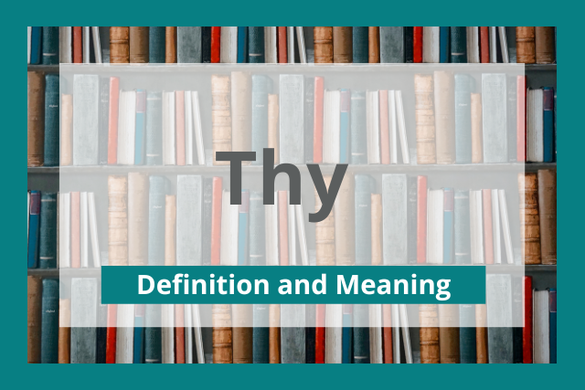 Thy: Definition and Meaning